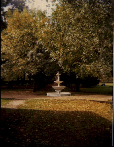fuente1.jpg (62339 bytes)