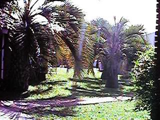 qvlin022.jpg (26949 bytes)
