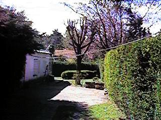 qvlin054.jpg (24406 bytes)