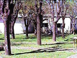 qvlin062.jpg (30011 bytes)