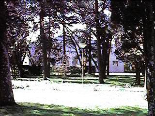 qvlin073.jpg (26515 bytes)