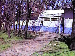 qvlin076.jpg (27331 bytes)