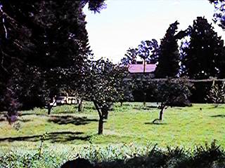 qvlin084.jpg (23168 bytes)