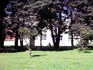 qvlin090.jpg (27573 bytes)